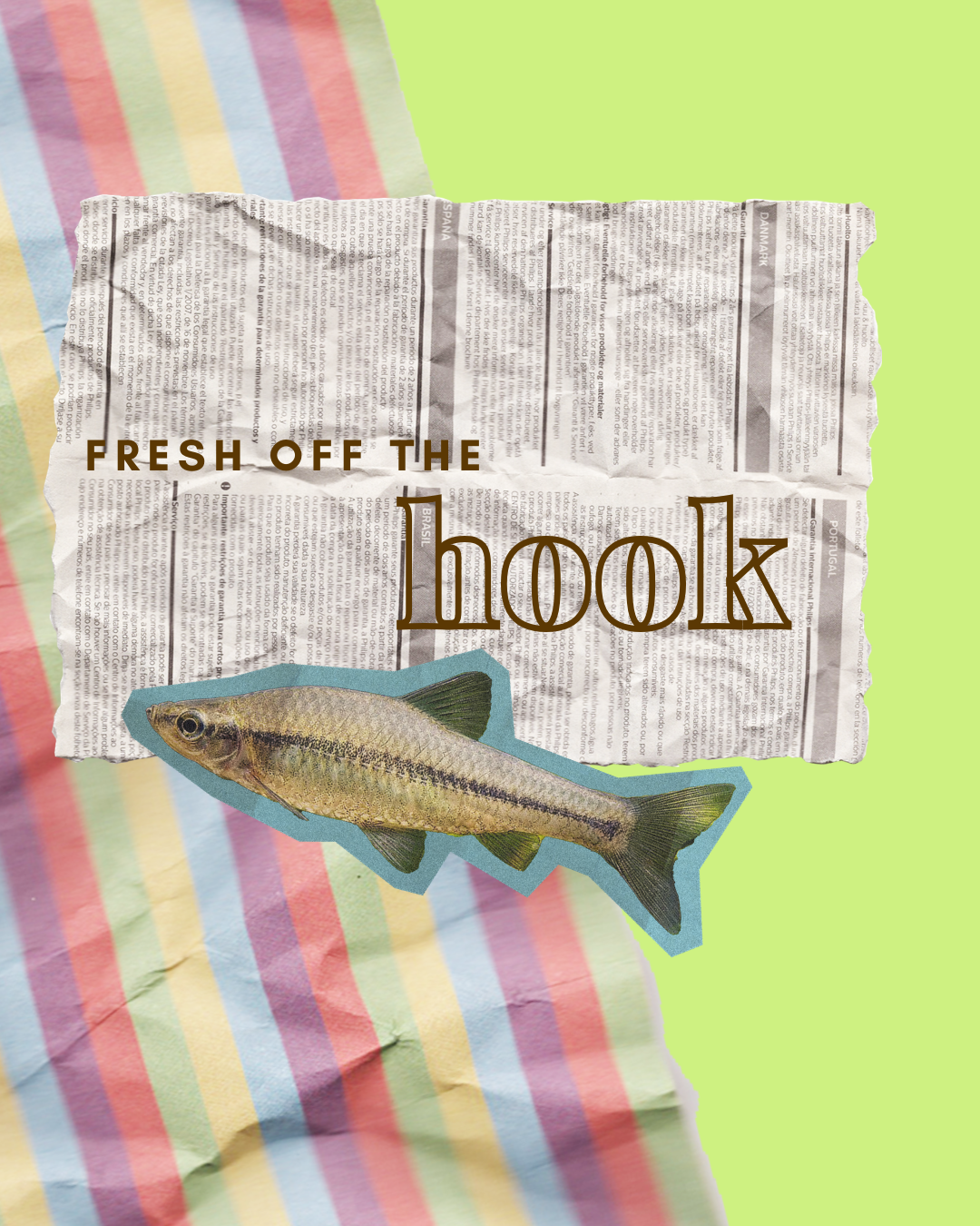 Fresh off the Hook