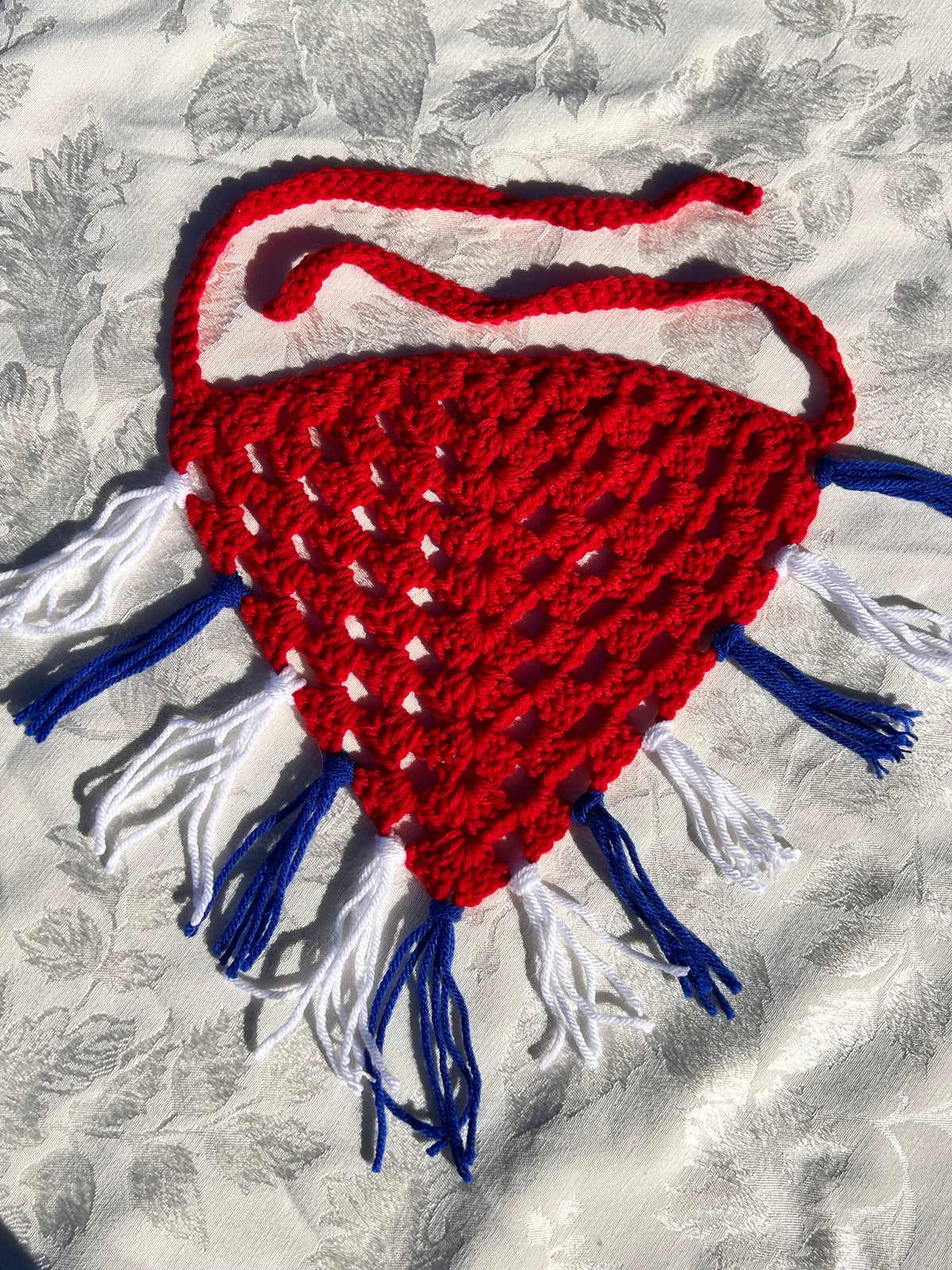 4th of July Bandana